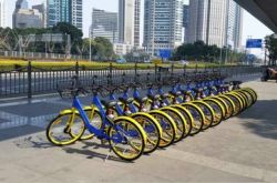 【1分钟教程】呼和浩特市工厂最新招聘信息_哔哩哔哩